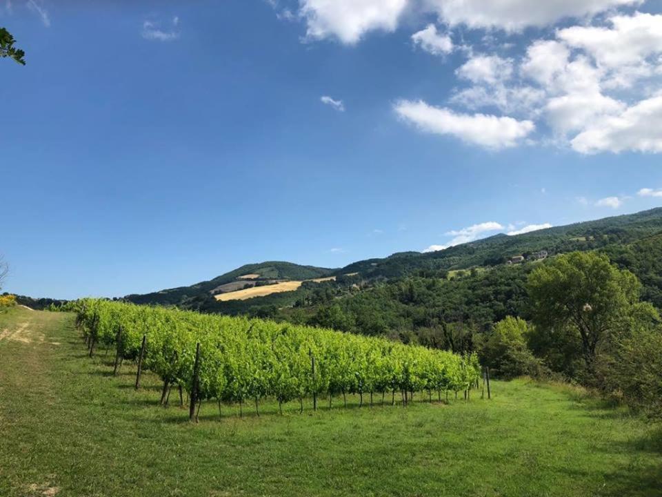 Aparthotel Re Artu Assisi Country Lifestyle Zewnętrze zdjęcie